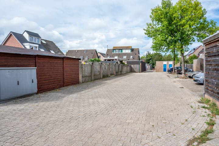 Foto 46 van Kleefkruid 46