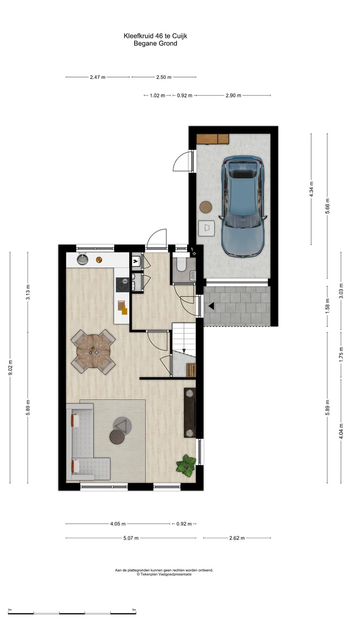 Foto 47 van Kleefkruid 46