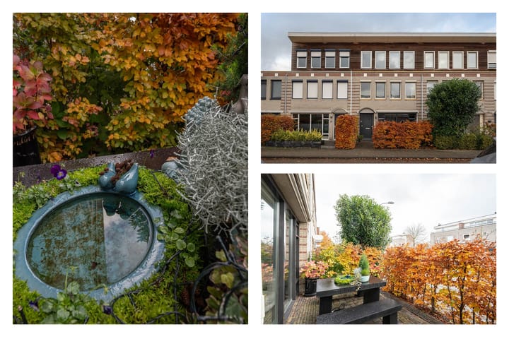 Foto 36 van Walenburg 11