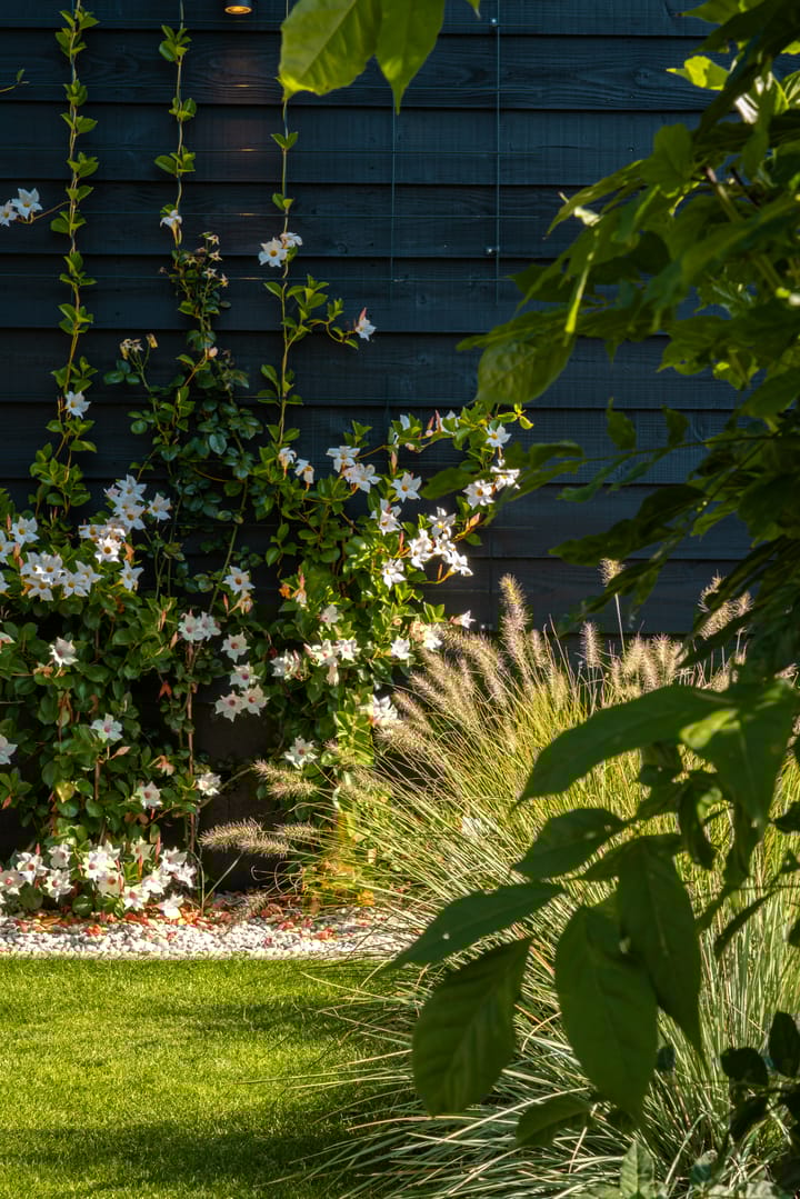 Foto 36 van Schans 2-E