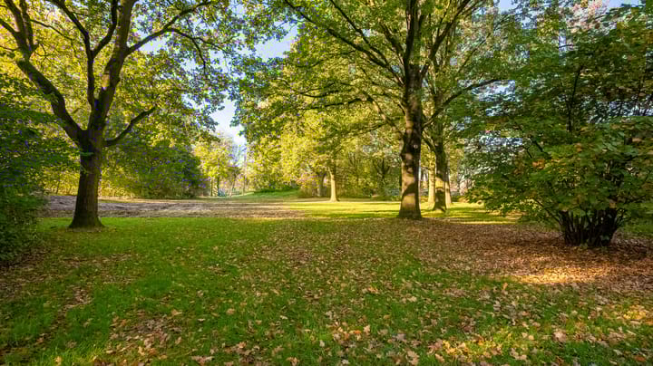 Foto 15 van De Gieteling 36