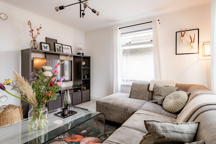 Foto 10 van Schoener 45 6