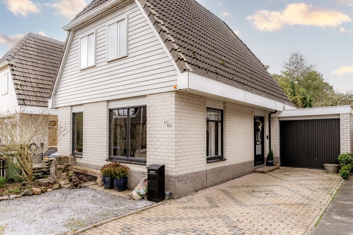 Foto 37 van Schoener 45 6