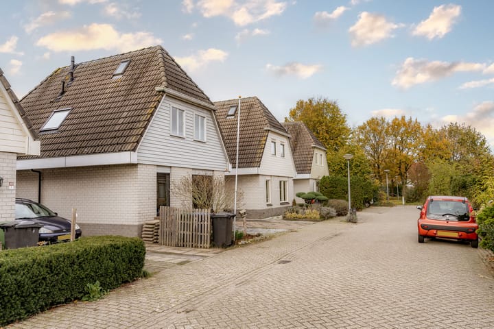 Foto 38 van Schoener 45 6