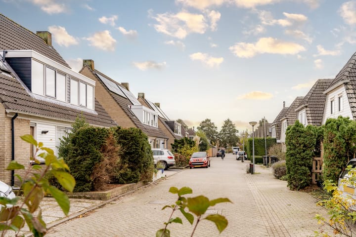 Foto 39 van Schoener 45 6