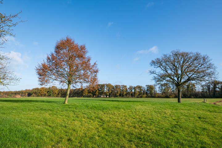 Foto 10 van Kommendijk 10-A