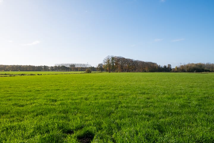 Foto 24 van Kommendijk 10-A