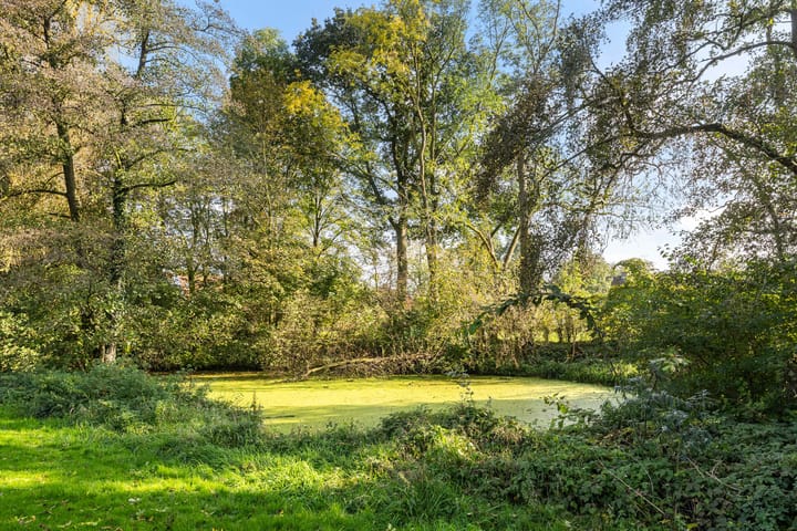 Foto 31 van Westenbergmate 30