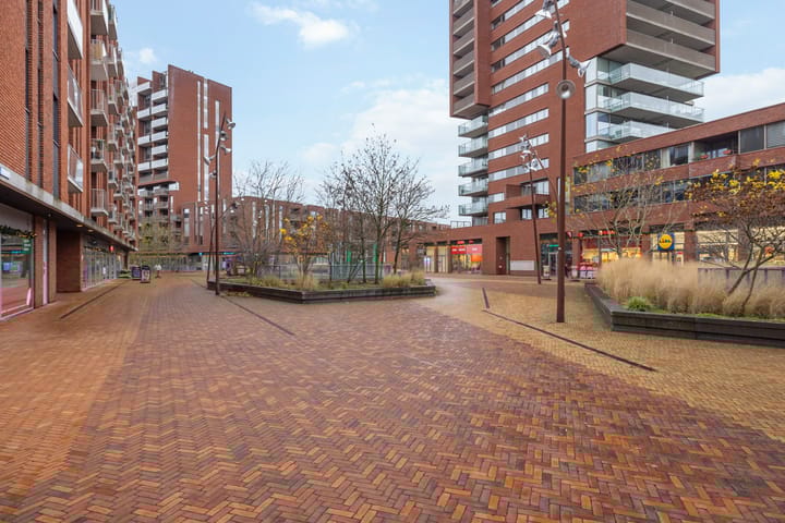 Foto 41 van Grashoen 112