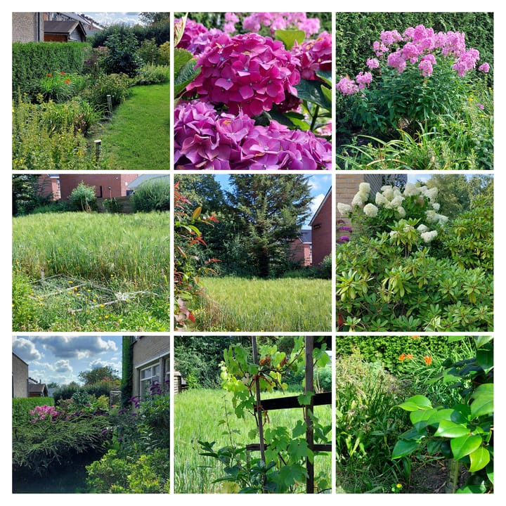 Foto 30 van Sportlaan 43