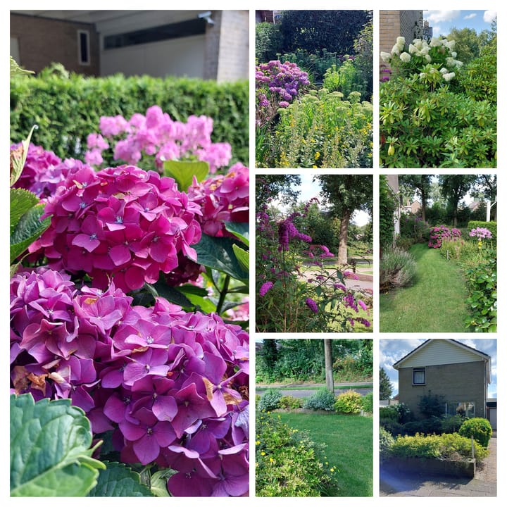 Foto 31 van Sportlaan 43