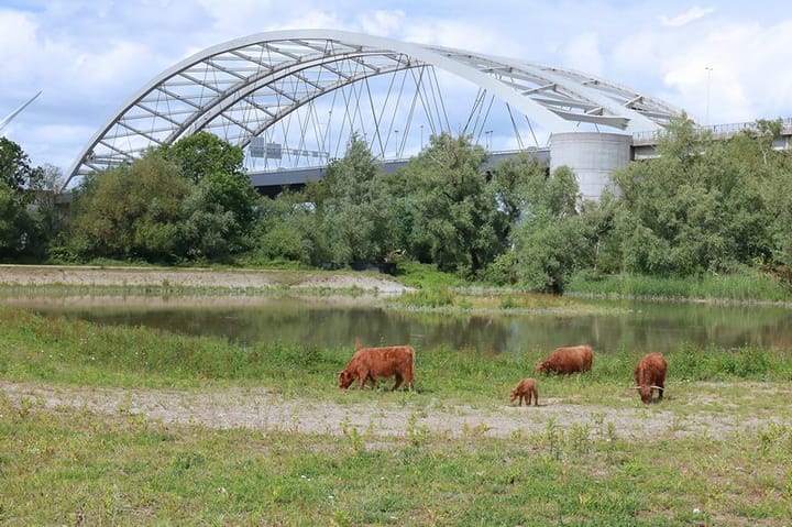 Foto 45 van Puck van Heelstraat 98