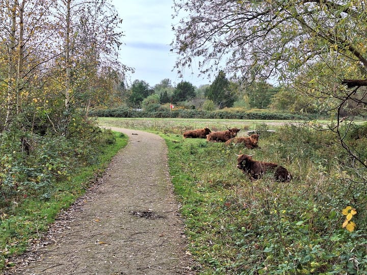 Foto 46 van Puck van Heelstraat 98