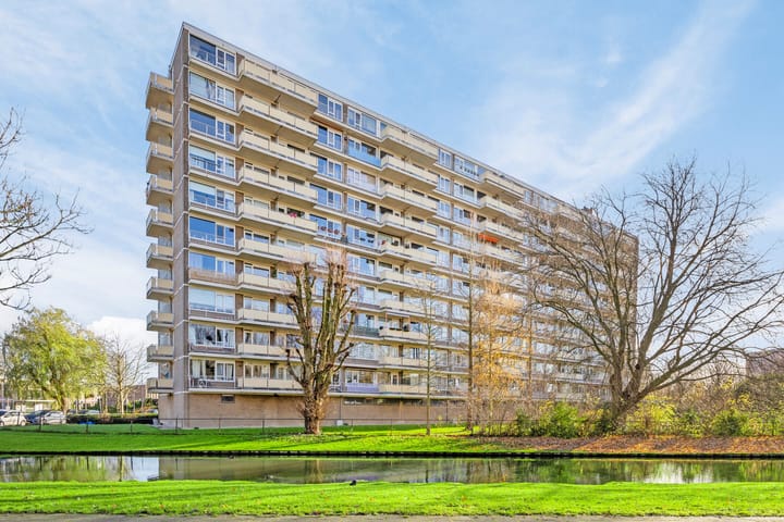 Dumasstraat 85