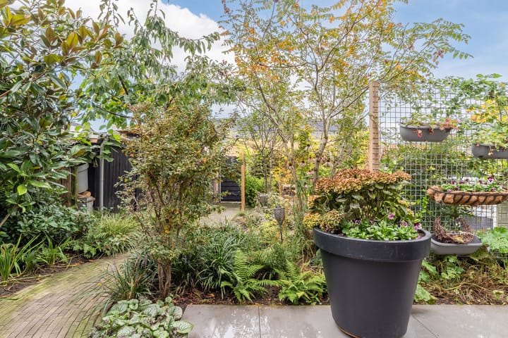 Foto 26 van Die Haghe 10