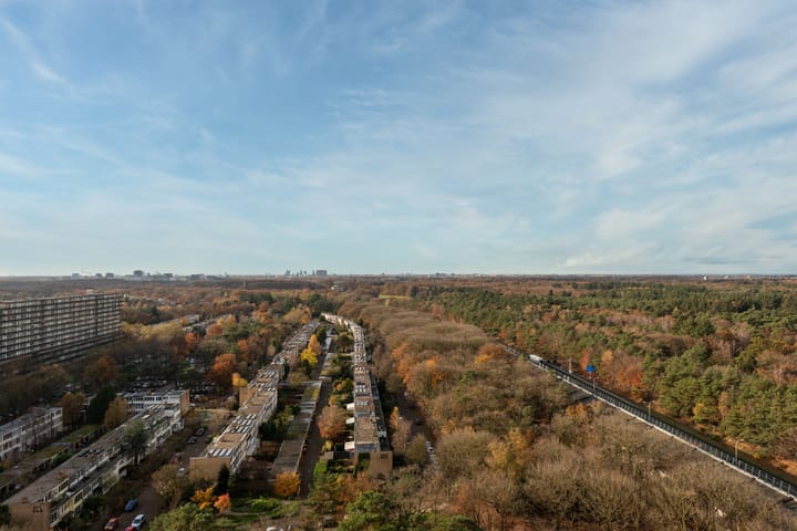 Photo 6 of Laan van Vollenhove 786-BIS