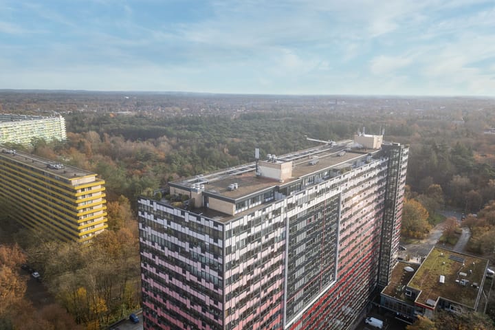 Photo 39 of Laan van Vollenhove 786-BIS