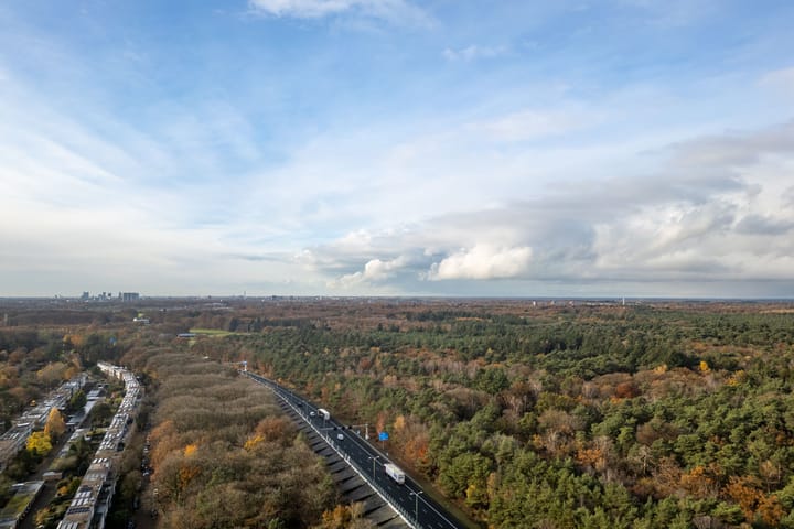 Photo 43 of Laan van Vollenhove 786-BIS