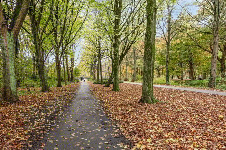 Foto 27 van Linnaeusstraat 46