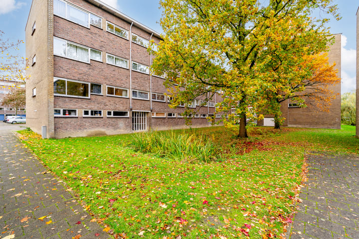 Foto 35 van Julianaplantsoen 155