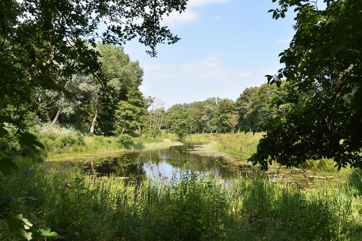 Bekijk foto 50 van Kruisbeklaan 33