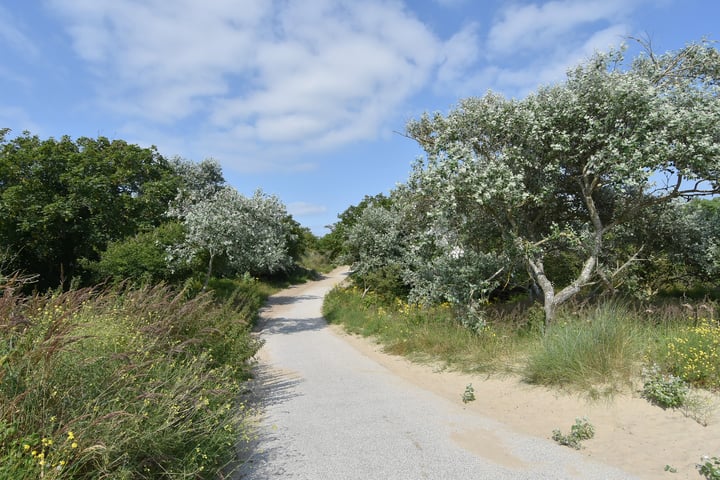 Bekijk foto 51 van Kruisbeklaan 33