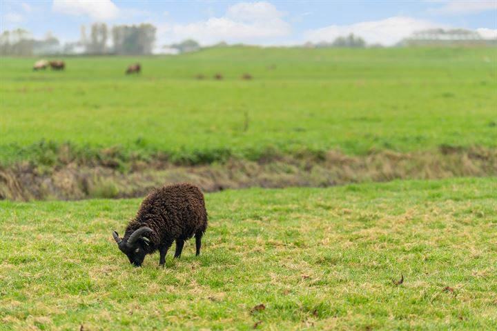 Bekijk foto 9 van Aderweg 11