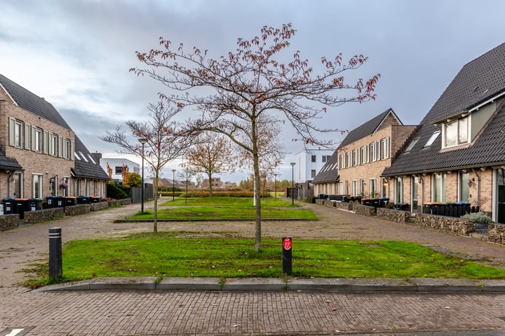 Bekijk foto 32 van Boterbloemhof 22