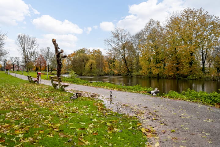 Foto 27 van Nassaustate 18