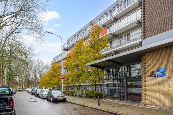 Foto 4 van Forellendaal 487