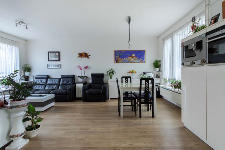 Foto 5 van Schildruwe 32