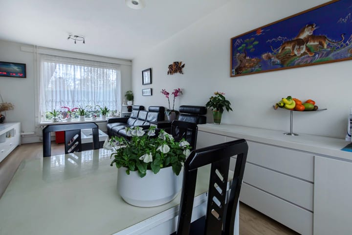 Foto 6 van Schildruwe 32