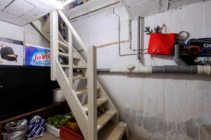 Foto 12 van Schildruwe 32