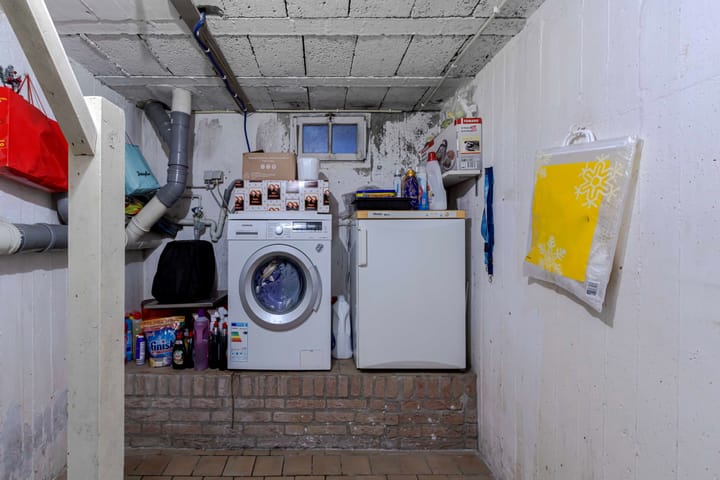 Foto 13 van Schildruwe 32