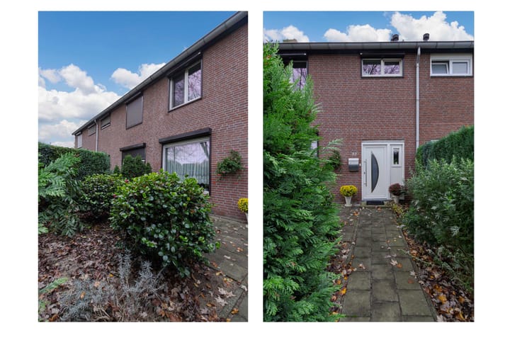 Foto 2 van Schildruwe 32