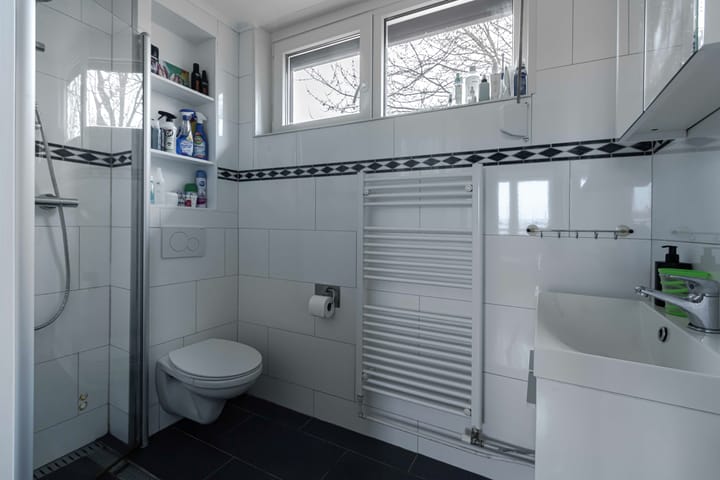 Foto 21 van Schildruwe 32