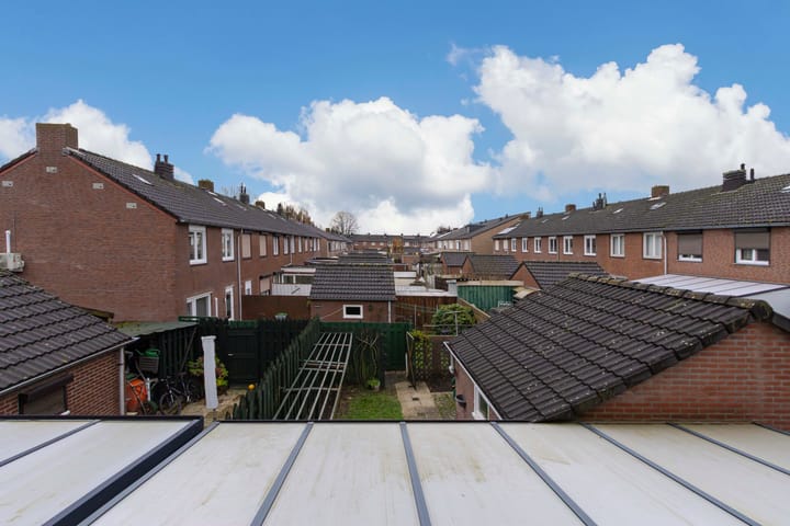 Foto 23 van Schildruwe 32