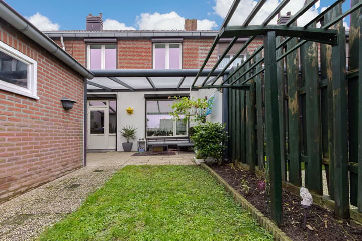 Foto 31 van Schildruwe 32