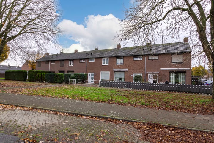 Foto 33 van Schildruwe 32