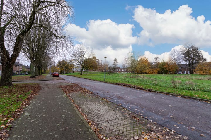 Foto 34 van Schildruwe 32