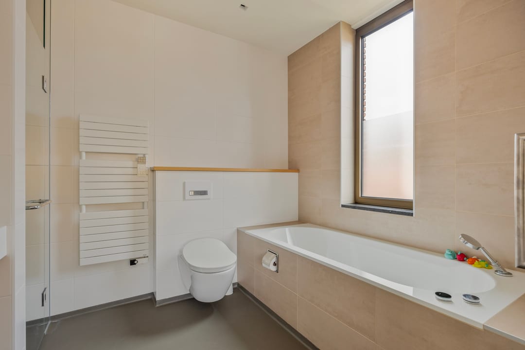 Foto 38 van van Ambestraat 10