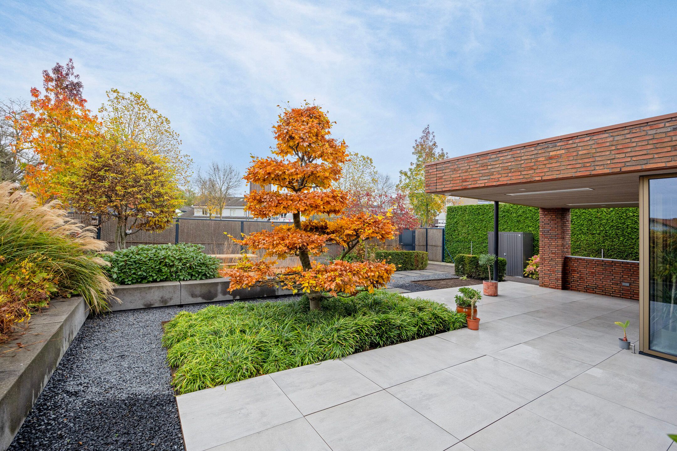 Foto 48 van van Ambestraat 10