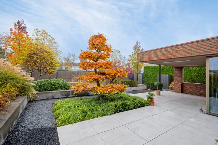 Foto 48 van van Ambestraat 10