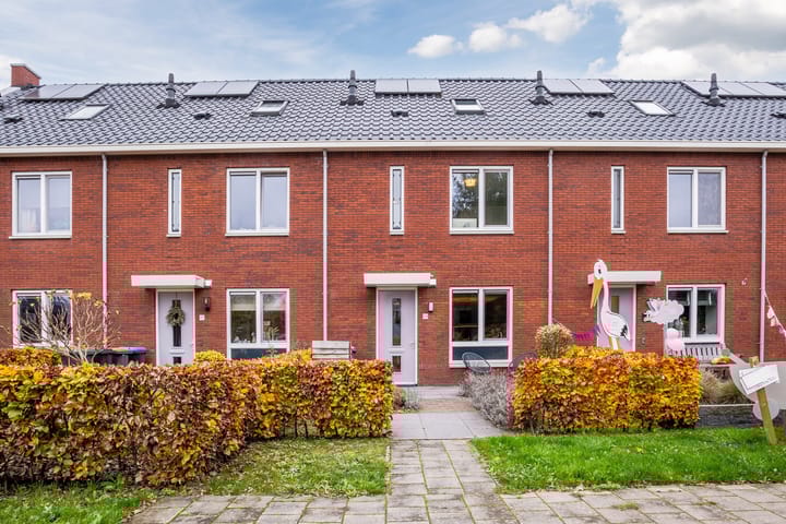undefined main image