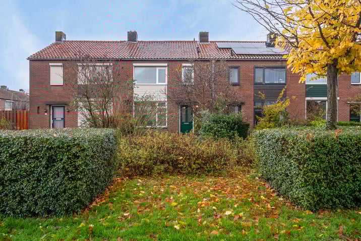 undefined main image
