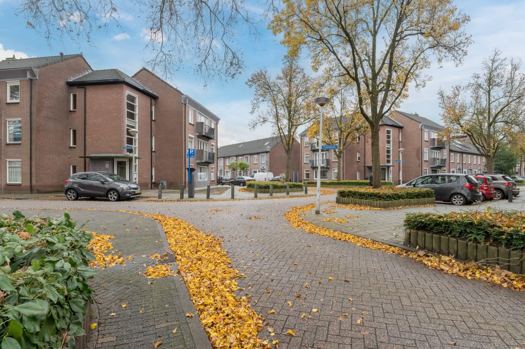 Photo 28 of Paduaplein 29