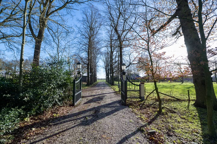 Foto 66 van Schellerbergweg 18