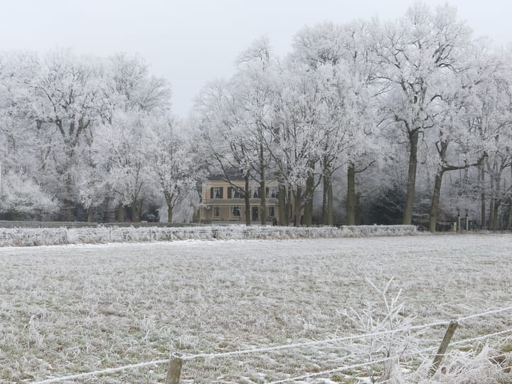 Foto 69 van Schellerbergweg 18