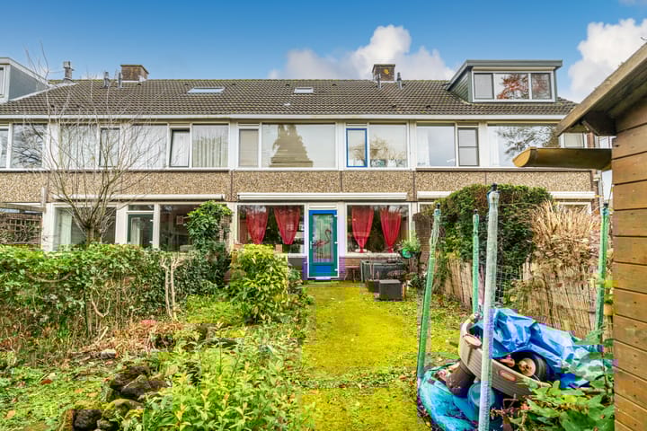 Foto 3 van Beijerland 20