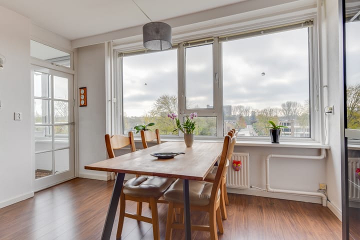 Photo 16 of Jan van Goyenstraat 176